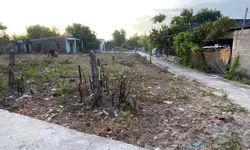 Bán đất biển Liên Hương Bình Thuận giá 800 triệu bao thuế phí-anh-9