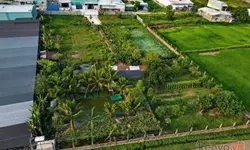 Giảm 20% cho 2 tháng liên tiếp văn phòng đẹp xinh 100m2, tại đường 3/2, Quận 10-anh-4