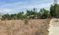 Bán đất nền thổ cư cách biển 800m, Tuy Phong, Bình Thuận-anh-2