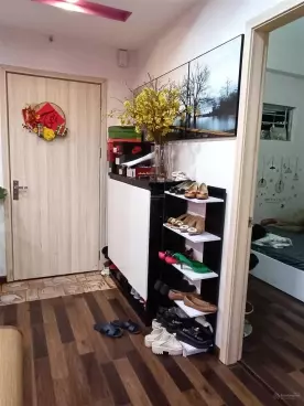 Chính chủ bán căn hộ 78m full nội thất gỗ nhập khẩu Kđt Thanh Hà Cienco 5-anh-1