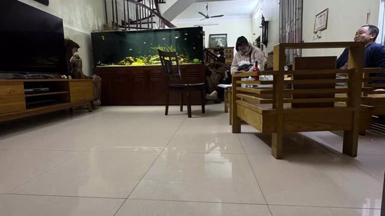 Bán 100m nam dư tặng nhà gần ô tô hoàng mai-anh-1