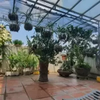 Bán nhà Nguyễn Văn Cừ, phân lô 2 mặt tiền, 100m x 6 tầng, thang máy, gara, 19 tỷ 5-anh-13