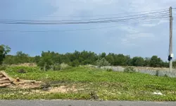 sở hữu ngay đất biển Vĩnh Hảo - Tuy Phong tại Bình Thuận.-anh-11