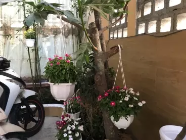 Bán Nhà 1 trệt 2 lầu. 7mx32m, P. Linh Đông Tp Thủ Đức, giá 15,5 tỷ-anh-1