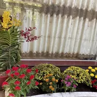 Bán Nhà 1 trệt 2 lầu. 7mx32m, P. Linh Đông Tp Thủ Đức, giá 15,5 tỷ-anh-13