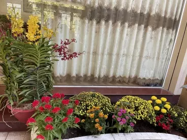 Bán Nhà 1 trệt 2 lầu. 7mx32m, P. Linh Đông Tp Thủ Đức, giá 15,5 tỷ-anh-6