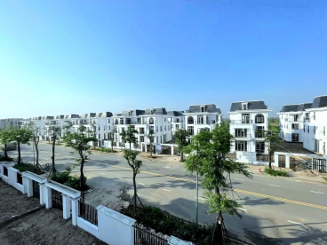 Bán biệt thự trong trung tâm khu dô thị mới Mê Linh giá chỉ 32tr/m2 ngay mặt đường vành đai 4-anh-4