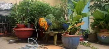 CẦN BÁN GẤP NHÀ ĐƯỜNG TAM CHÂU - P.TAM BÌNH - THỦ ĐỨC 268m2 NHÀ C4 GIÁ CHỈ 5.5TY-anh-3