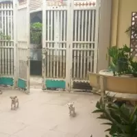 CẦN BÁN GẤP NHÀ ĐƯỜNG TAM CHÂU - P.TAM BÌNH - THỦ ĐỨC 268m2 NHÀ C4 GIÁ CHỈ 5.5TY-anh-4