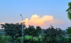 Tòng Mạnh ĐứcCẬP NHẬT QUỸ CĂN GIÁ TỐT CHO THUÊ VINHOMES OCEAN PARK 2 VĂN GIANG HƯNG YÊN LH: 0981996532-anh-4