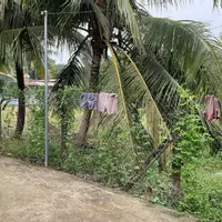 Bán đất 500m² tại An Sơn, Thuận An – Vị trí vàng, ngay sát đường Vành Đai 3-anh-7