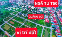 Bán đất Biệt Thự KĐT chùa Hà Tiên, giá tốt 9,9 tỷ, 336 m2 Vĩnh Yên, Vĩnh Phúc-anh-12