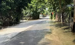 Bán đất Biệt Thự KĐT chùa Hà Tiên, giá tốt 9,9 tỷ, 336 m2 Vĩnh Yên, Vĩnh Phúc-anh-19