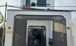 Bán đất hiệp thành, TDM, Bình Dương, (đôi diện trường việt Anh)-anh-8