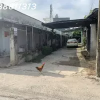 Bán đất hiệp thành, TDM, Bình Dương, (đôi diện trường việt Anh)-anh-5