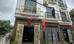 BÁN ĐẤT LÔ GÓC SÓC SƠN - MẶT TIỀN QUYỀN LỰC 28M - ĐƯỜNG NHỰA Ô TÔ TRÁNH - GIÁ CHỈ 4.7 TỶ-anh-10
