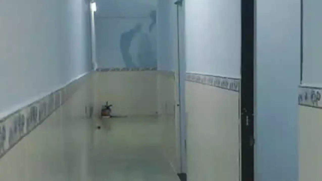 BÁN ĐÁT TẶNG NHÀ THỦ ĐỨC 73M2, 4TY5 THƯƠNG LƯỢNG-anh-3