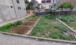 Bán đất Tây Hồ/Thụy Khuê - Mặt phố mới - 64m2/MT 4m/Nở hậu - 18.5 tỷ-anh-3
