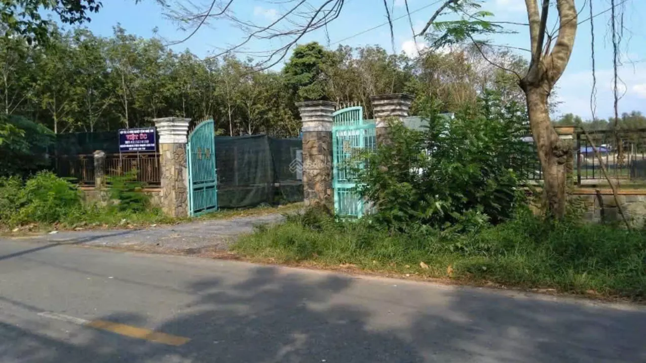 Bán gấp 8.400m² đất mặt tiền đường Nhuận Đức, Củ Chi – Giá chỉ 10,5 triệu/m²!-anh-5