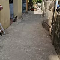 Bán gấp Mảnh đất 74m2 Tây Mỗ, mặt tiền 4m, nở hậu, giá đầu tư chỉ 77 triệu/1m2, Quy hoạch đẹp-anh-4