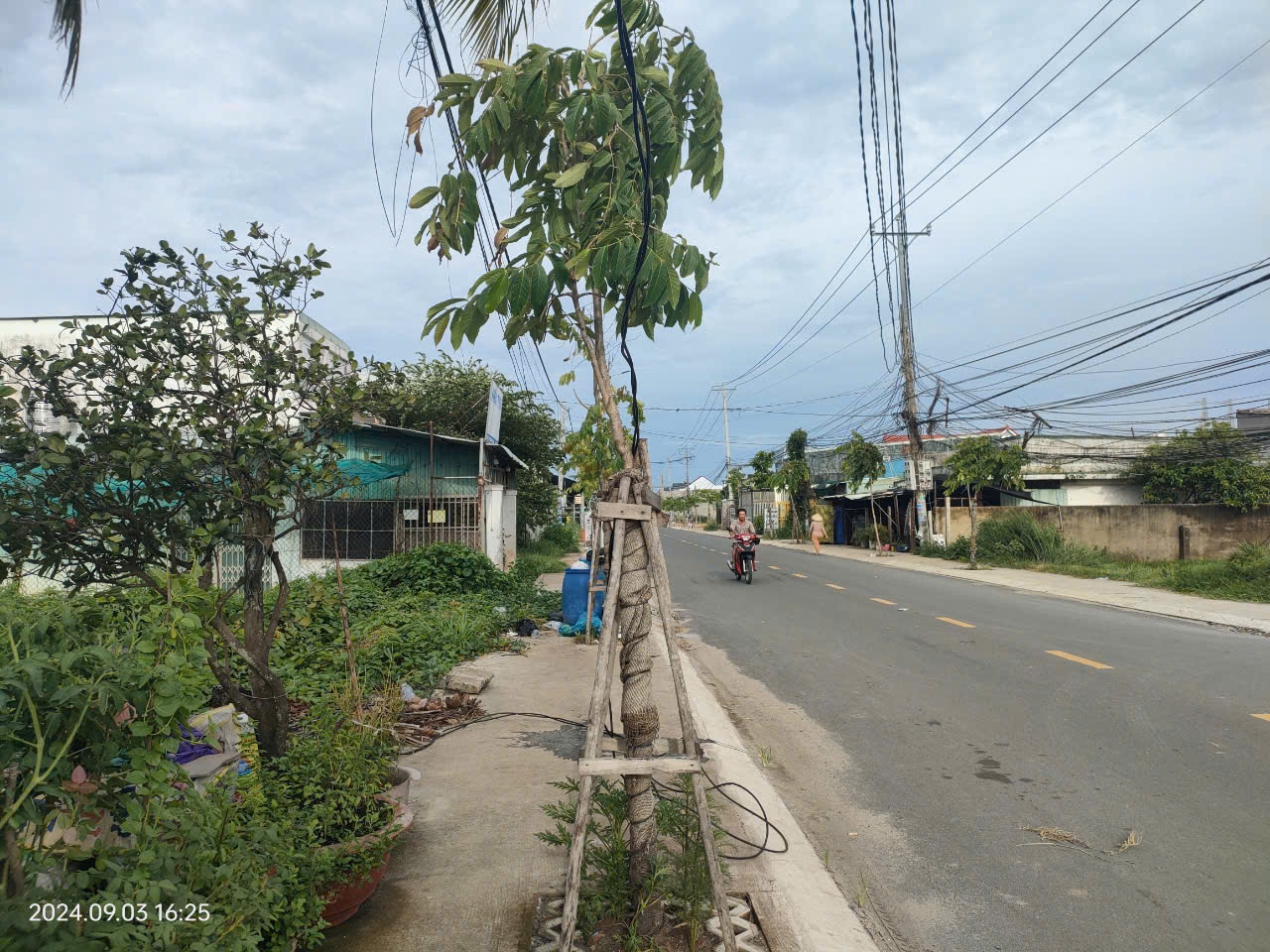 Bán hoặc cho thuê nhà riêng 5x50m2-anh-7