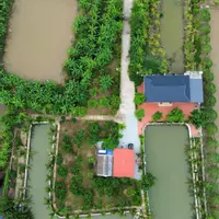 BÁN KHU NGHỈ DƯỠNG SINH THÁI GIA ĐÌNH TẠI AN LÃO – HẢI PHÒNG-anh-4