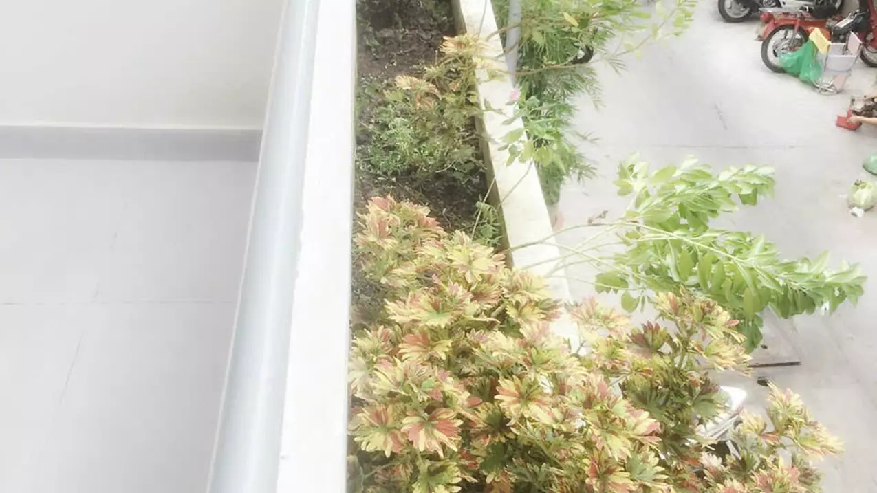 Bán nhà 2 mặt hẻm 6,5m đường Nguyễn Trãi, Phường 7, Quận 5-anh-3