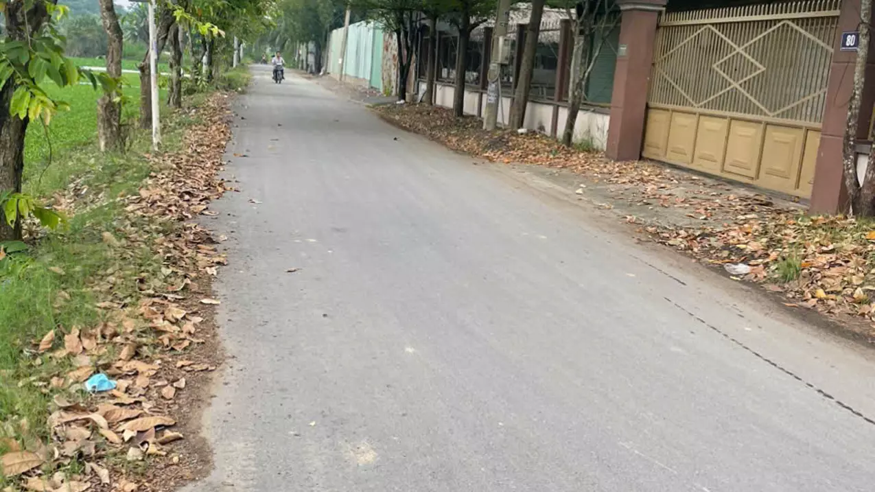 Bán nhà 2 mặt tiền 31x32m giá 19 tỷ Đường Nhị Bình 4, Hóc Môn-anh-3