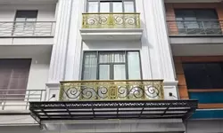 Gia đình cần bán mảnh đất bãi dài trục đường chính-anh-2