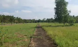 Cần bán gấp nhà 150m2, ngay ngã 4 Tuần Đậu, Châu Thành, Bến Tre-anh-9