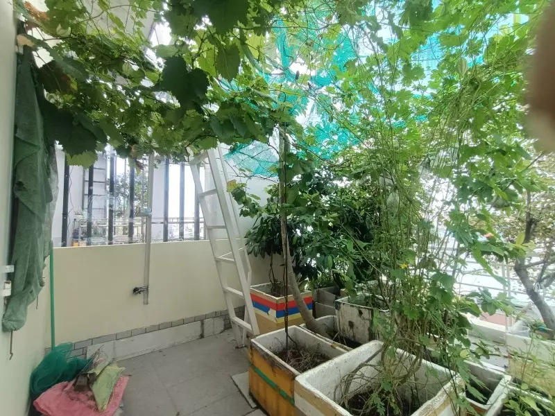 Bán nhà 3 tầng đường Số 8, Linh Trung, Thủ Đức, TP HCM. DT 106m2, sổ hồng riêng, giá 7.5 tỷ.-anh-4