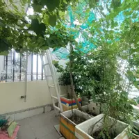 Bán nhà 3 tầng đường Số 8, Linh Trung, Thủ Đức, TP HCM. DT 106m2, sổ hồng riêng, giá 7.5 tỷ.-anh-9