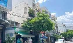 Bán nhà 3 tầng - ngang 22 DT 400m2 số 4 Trần Quang Diệu, P 13, Quận 3-anh-13