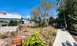 Chính chủ bán gấp lô mặt tiền gần Nút giao cao tốc Bắc Nam giá 757tr-anh-16