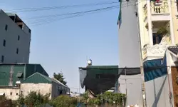 Bán Nhà 4Tầng, Hồng Tiến Long Biên, 59m², Nội thất tiền tỷ, Giá Hấp Dẫn 0902318197-anh-13