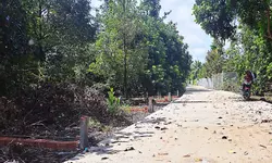 Bán Nhà Cấp 4 dt 62m2 Ngay Chợ Cây Tràm - Đường Hồ Văn Đại, Phường Quang Vinh (P. Trấn Biên) giá-anh-13
