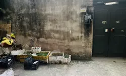 BÁN NHÀ CẦU GIẤY 52M2, MT 6M, NGÕ THÔNG, ĐI BỘ RA PHỐ. 7,9 TỶ-anh-11