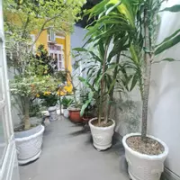 BÁN NHÀ CHÍNH CHỦ MAI AM Q8 - 76M2 - 2 TẦNG 3PN - NHỈNH 5 TỶ-anh-10