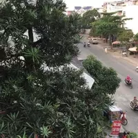 Bán nhà Mặt Tiền đường 12, P.Hiệp Bình Chánh, Diện tích 123m2 Giá 20 Tỷ-anh-18