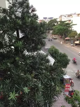 Bán nhà Mặt Tiền đường 12, P.Hiệp Bình Chánh, Diện tích 123m2 Giá 20 Tỷ-anh-9