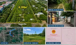 Thiếu nợ ngân hàng bán gấp lô đất.Sổ Hồng Riêng giá 450 triệu-anh-11