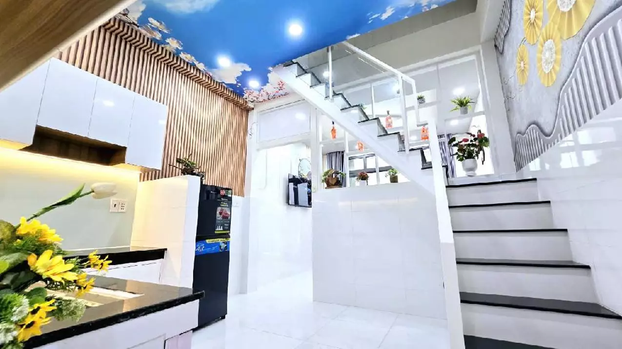 ???? BÁN NHÀ  Đ. TẠ QUANG BỬU, P.5,Q.8 ,nhà mới 28m2 chỉ 3ty290-anh-2