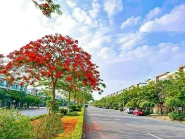Cho thuê mặt bằng kinh doanh, văn phòng, mặt đường lớn sầm uất khu đô thị VSIP Từ Sơn-anh-1