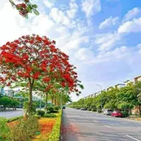 Cho thuê mặt bằng kinh doanh, văn phòng, mặt đường lớn sầm uất khu đô thị VSIP Từ Sơn-anh-7