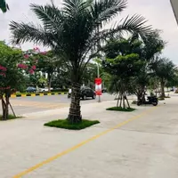 Cho thuê mặt bằng kinh doanh, văn phòng, mặt đường lớn sầm uất khu đô thị VSIP Từ Sơn-anh-9
