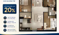 Bán Nhà Đất Giá Rẻ Phường Hòa Lợi, Thành Phố Bến Cát, Bình Dương-anh-15