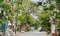 Bán 337m2 lô góc đất ở chia lô đẹp giá đầu tư-anh-2