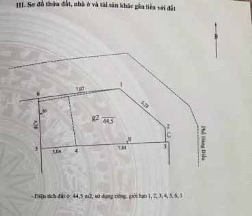 VUA MẶT PHỐ: Bán nhà Mặt phố Hàng Điếu: 44,5m 2tg, Mt 12.3m, 58 tỷ, Lô Góc - CAM KẾT THẬT-anh-1