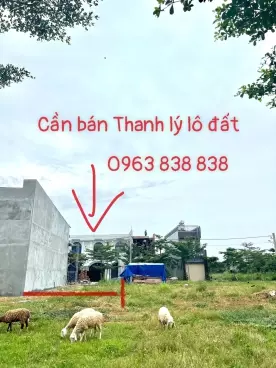 Cơ hội mua đất gần Trung Tâm Biên Hoà để ở và Đầu tư chỉ với 500 triệu-anh-2