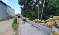 BIỆT THỰ VEN SÔNG DƯƠNG ĐÔNG PHÚ QUỐC-anh-20